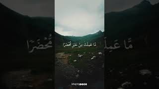 يوم تجد كل نفس ماعملت من خير محضرا | سورة آل عمران | سعد الغامدي