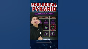 Ecological Pyramids in Ecosystem Class 12 #doctorsadda #ecologicalpyramid #neetbiology #biomass