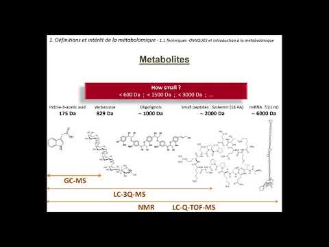 Vidéo: Différence Entre La Métabolomique Et La Métabonomie