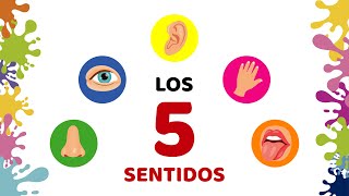 Los 5 sentidos para niños - Aprendizaje infantil