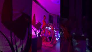 Ecstatic Dance DjHeidi Monk-e Temple