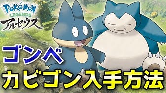 ゴンベ Youtube