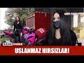 Uslanmaz hırsızlar!