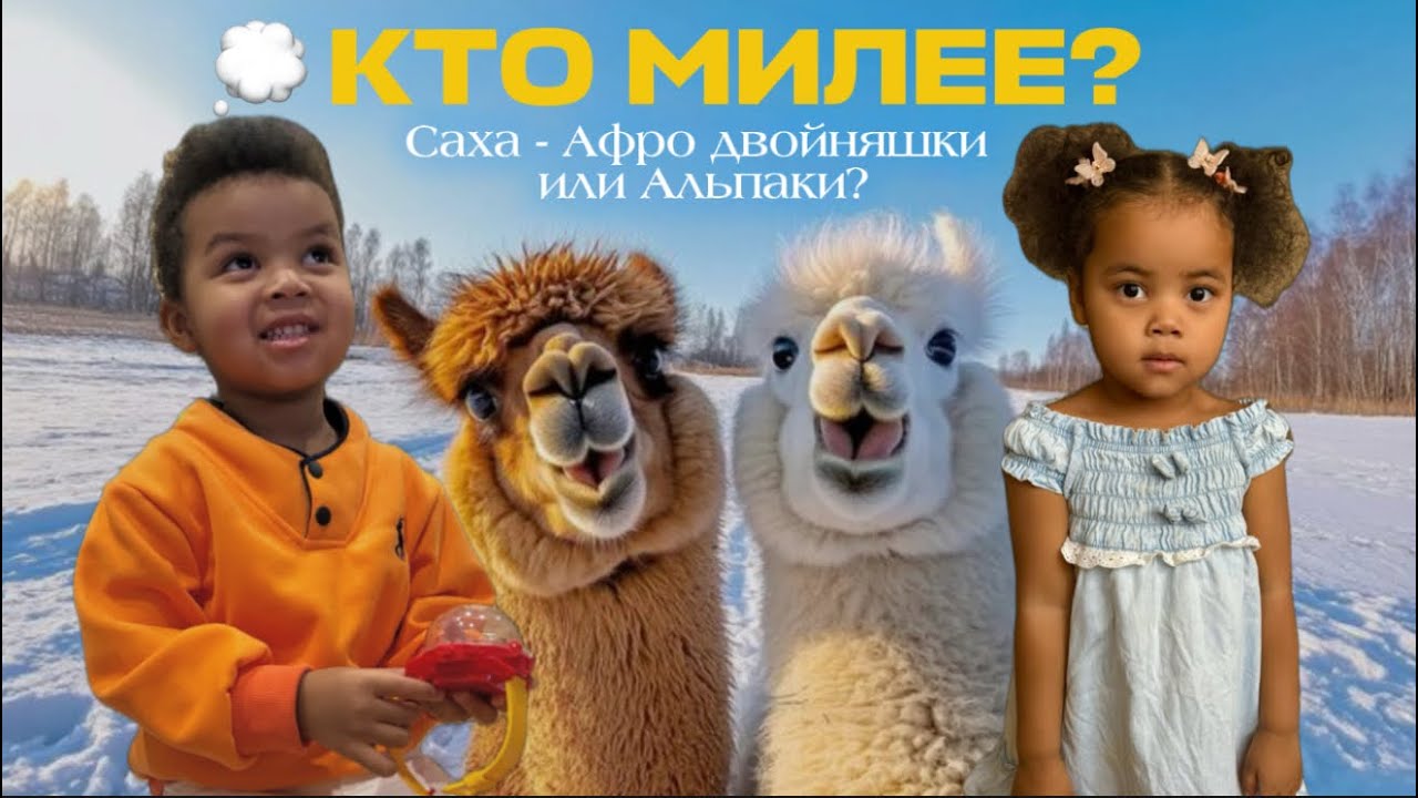 Саха-Афро двойня и ПЕРВАЯ встреча с Альпаками в Казани!😍Столько нежности в одном видео! 