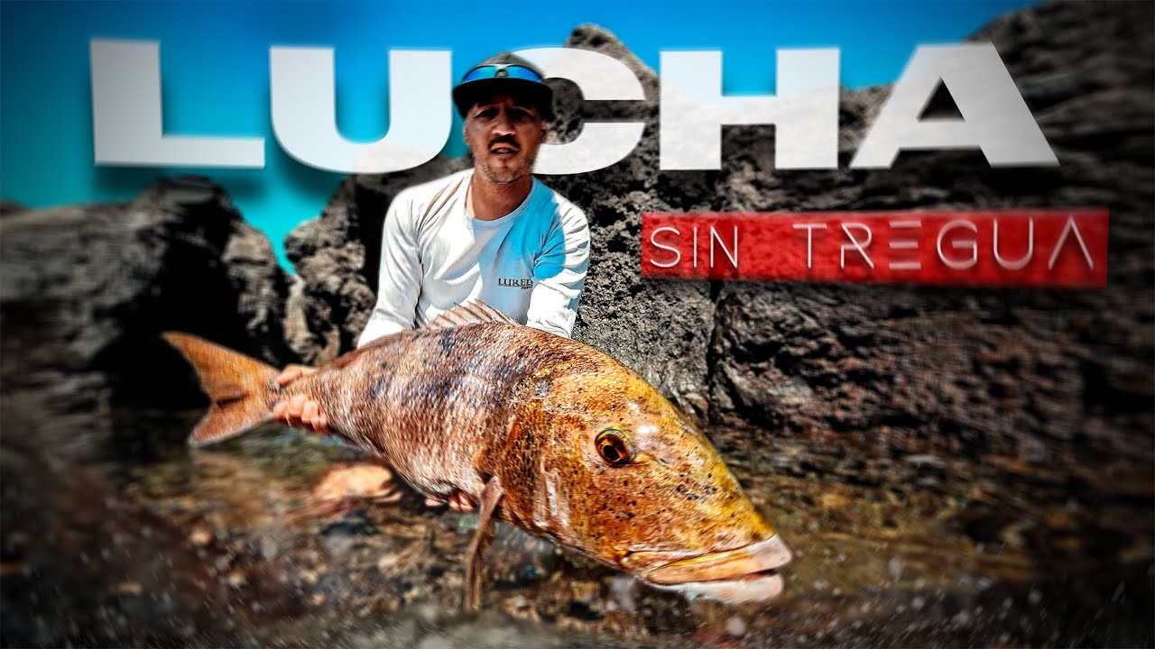 LUCHA al LÍMITE - Pez XL pica a 80m de distancia | Lured Vlog 361