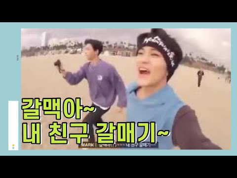 [NCT/마크] 마크 친구 갈매기