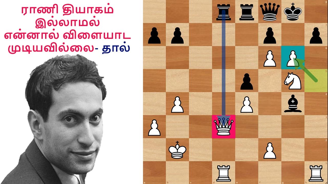 ராணி தியாகம் இல்லாமல் என்னால் விளையாட முடியவில்லை-  தால், Tal vs Lev Aronin, Tamil chess channel