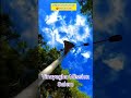 Vinayagha Mission| Salem|#trendingshorts