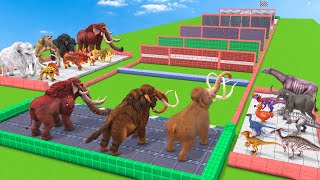 Prehistoric Mammals Vs ARK Prehistoric Animals Race Through Blocks - Animal Revolt Battle Simulator