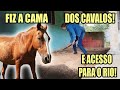 Fiz a cama dos cavalos e acesso para eles entrarem no rio daily vlog