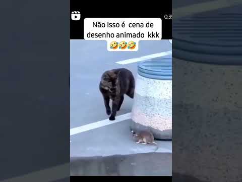 Parece msm kkkk #humor #engraçado #viral #fyp #comedia #tops #furyou #reels #interação #explorar
