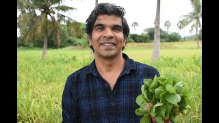 Kaattukeerai/Thoyya Keerai Kadayal (Wild greens Gravy) - காட்டுக்கீரை / தொய்ய கீரை கடையல்