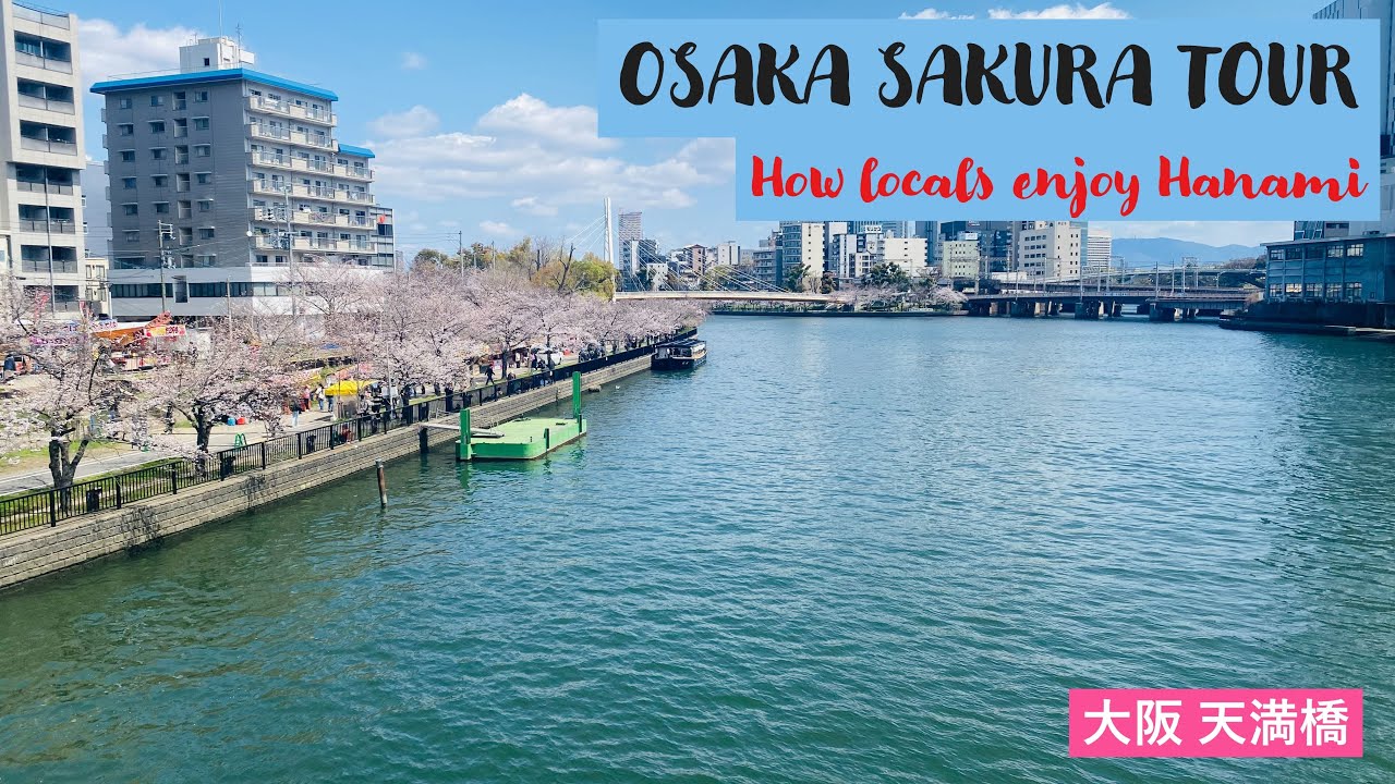 Osaka Tenmabashi Sakura tour（大阪 天満橋）