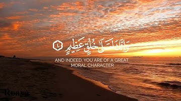 "فلا تطع المكذبين" تلاوة مؤثرة بصوت حاتم المالكي | سورة القلم بتلاوة خاشعة تهز القلوب
