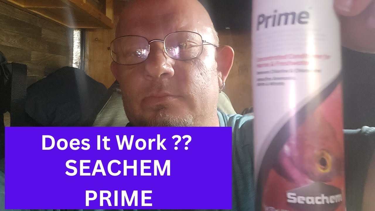How Fast Does Seachem Prime Work How Fast Does Seachem Prime Work