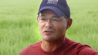 Noble Testimonial   Marc Regs HD 1