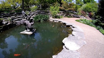 Firefly 8, Gyro Off with Feiyutech QD G4 3 axis Gimbal