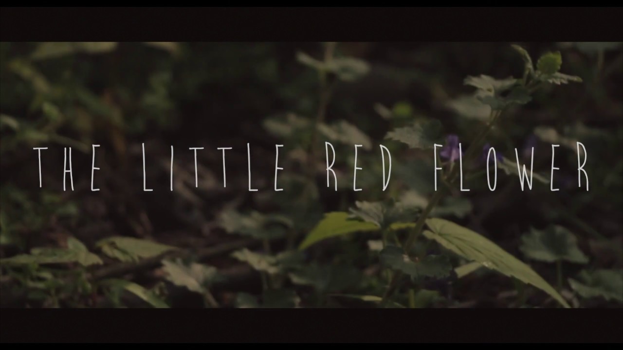 The Little Red Flower [Short Film] YouTube