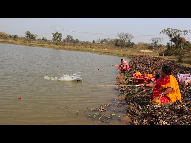 Fishing Video || Traditional village ladies have extraordinary fishing talent | Catching fish