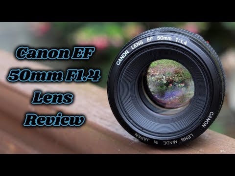 Canon EF 50mm F1.4 USM: Lens Review/Test