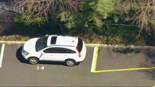 RAW: Black Bear Roams Backards in NJ