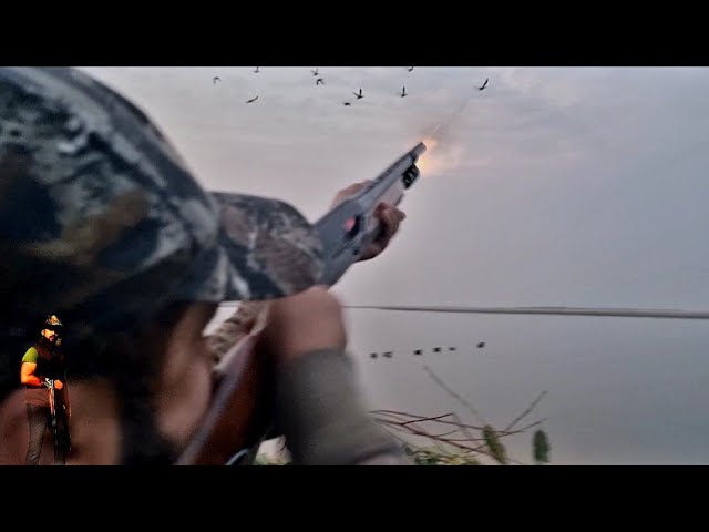 Duck hunting in pakistan 2022,2023 class=