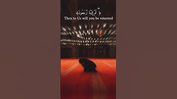 قرآن كريم | كُلُّ نَفْسٍ ذَائِقَةُ الْمَوْتِ ۖ ثُمَّ إِلَيْنَا تُرْجَعُونَ | القارئ عبدالرحمن مسعد