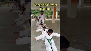 Taekwondo Speed and Power Training