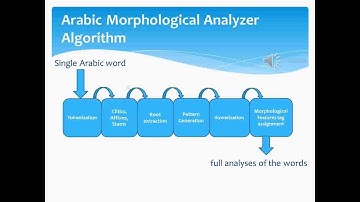 Fine Grain Morphological Analyzer and Part of Speech Tagger for Arabic Text1