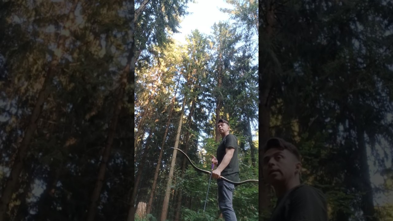 Forest Archery - Stumping 