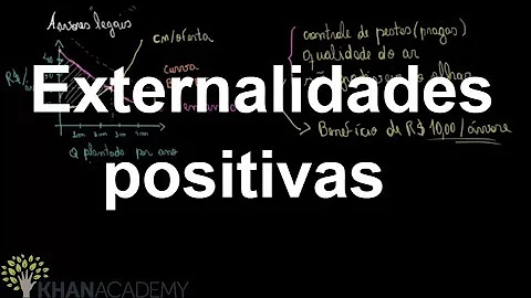 O que é internalizar as externalidades?