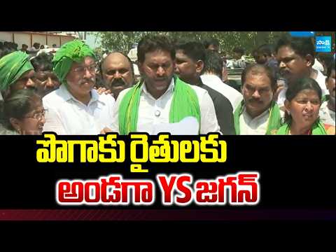 పొగాకు రైతులకు అండగా YS జగన్  | YS Jagan Assurance To Tobacco Farmers | Devarapalli | Sakshi TV - SAKSHITV
