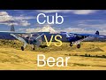 Carbon cub fx3 vs bearhawk patrol