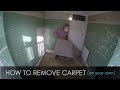 How to lift a carpet on your own  gideon made it  ep3  diy