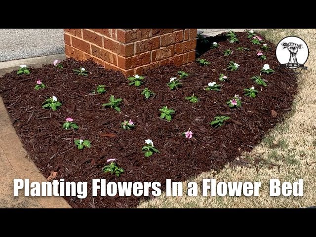 How To: Planting Seasonal Flowers In a Bed