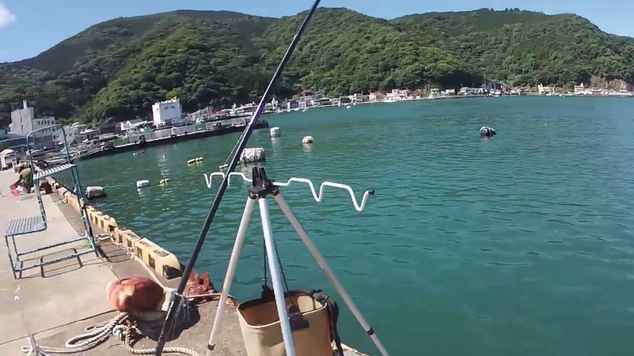 【ソウダ狙い】　戸田港