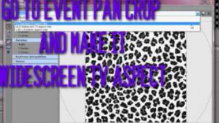 Sony Vegas Tutorial || Effect #33