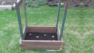 BELIEVE IT OR NOT, THIS POTATO TOWER CAN GROW 100 POUNDS OF POTATOES