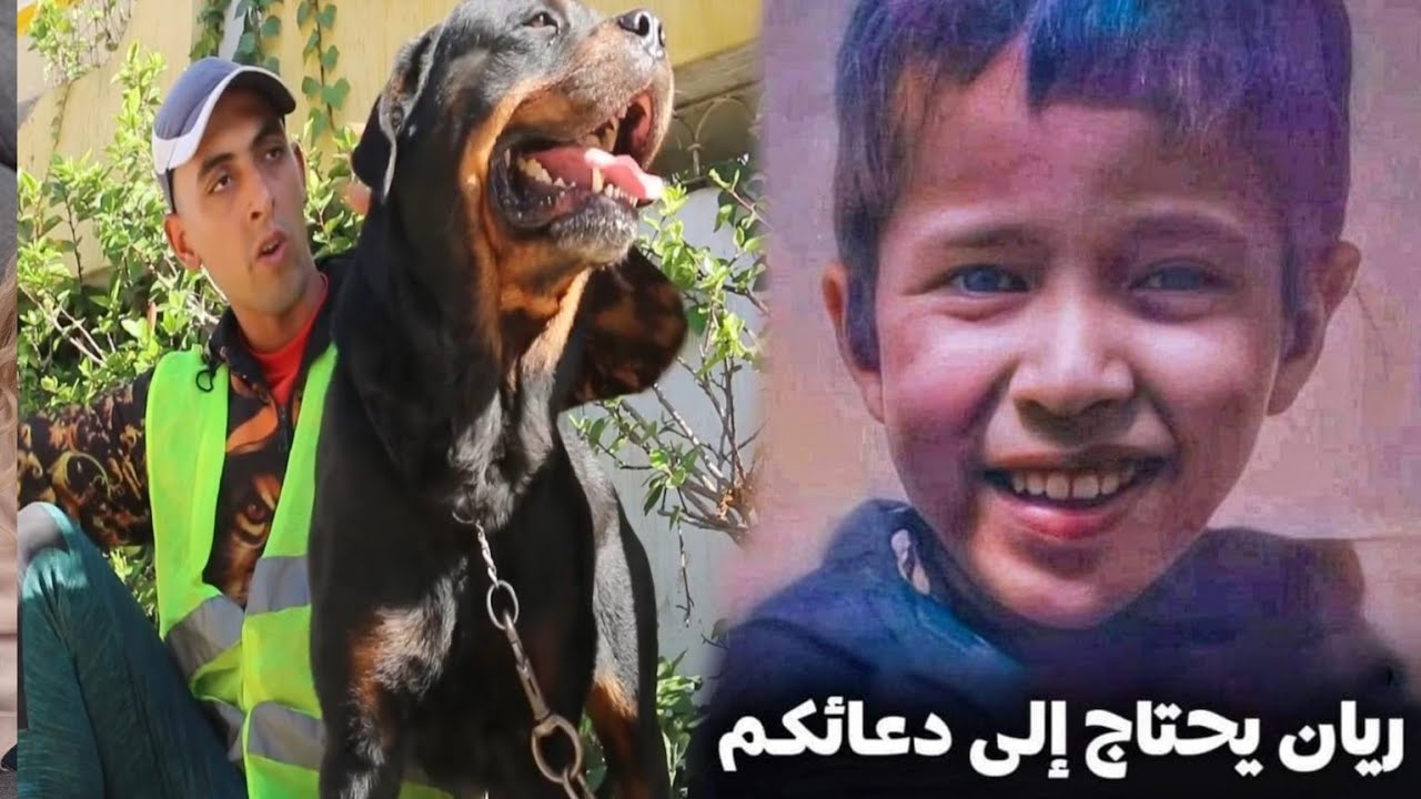 الكلب الذي سينقد الطفل ريان 😢..