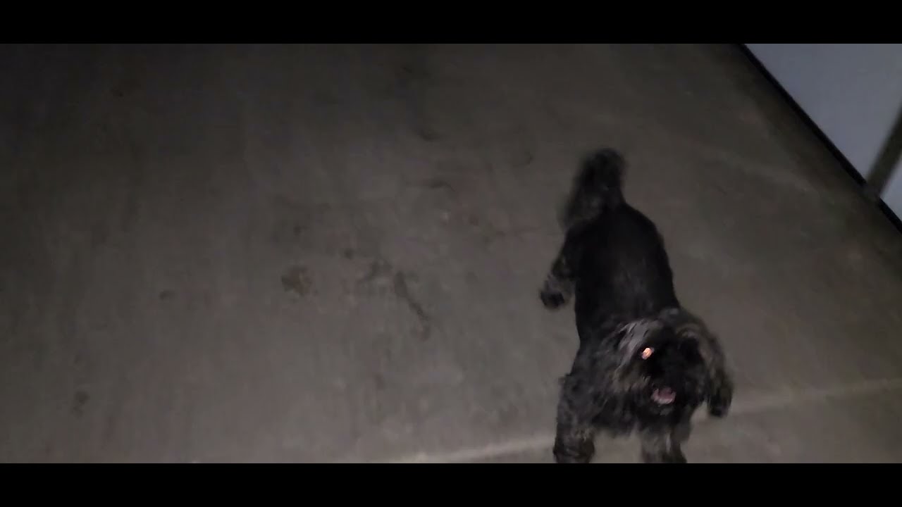 Polished Concrete YouTube