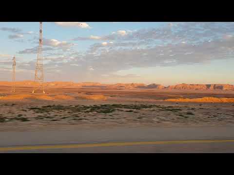 Videó: Virágzó Negev-sivatag Izraelben