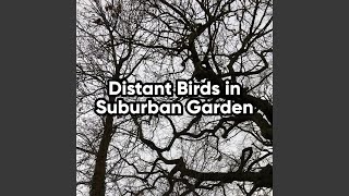 Distant Birds Singing at 7AM in the Morning screenshot 5