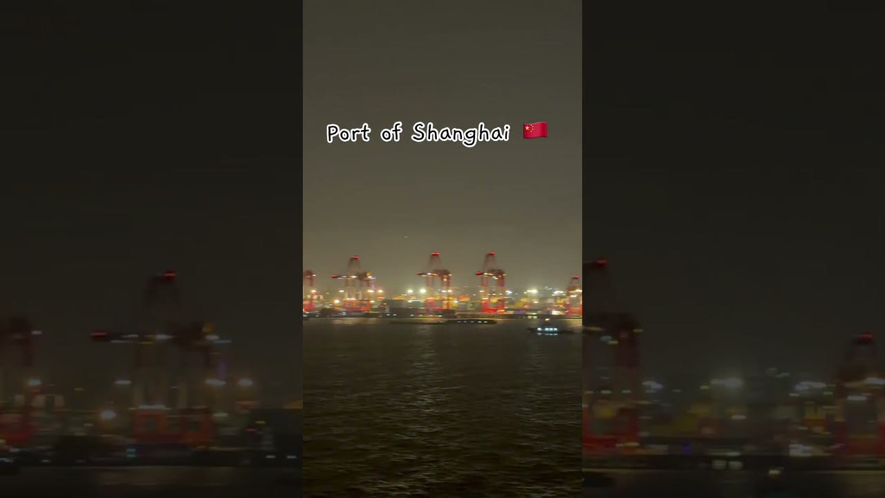 နေ့ရောညပါbusyနေတဲ့ဆိပ်ကမ်းကြီး #seamanstory#cruiseship#shanghai #shanghaiport#chinatravel#viral
