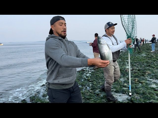 seattle kraken salmon toss｜TikTok Search