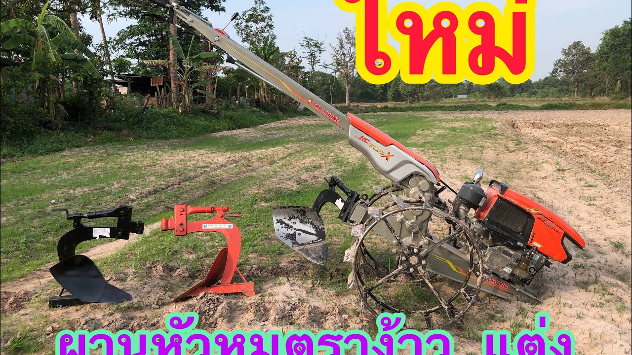 ผานหัวหมูแต่ง ตราง้าว  (063-9145630 ทัศนัย)