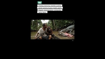 AI Video Veo 3, Coming home from fishing via a crocodile nest #ai #aivideo #veo3