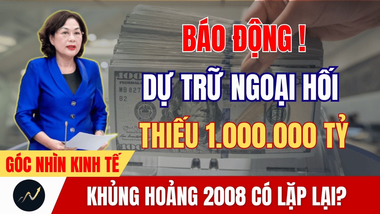 Thiếu 40 Tỷ USD Dự Trữ – Việt Nam Có Lặp Lại Kịch Bản Khủng Hoảng 2008–2011?