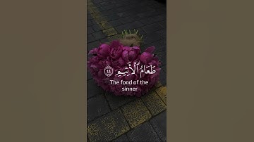 سورة الدخان من ٤٣ الي ٤٦ #رحمة_للعالمين #shortvideo #اكسبلور #تيك_توك #مصر #حالات_واتس #لايك #تعليم