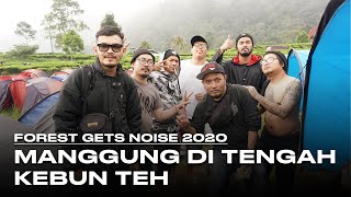 Download Lagu DOOMENTARY #3 | Forest Gets Noise 2020 MP3