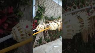 Download Lagu bali penjor MP3